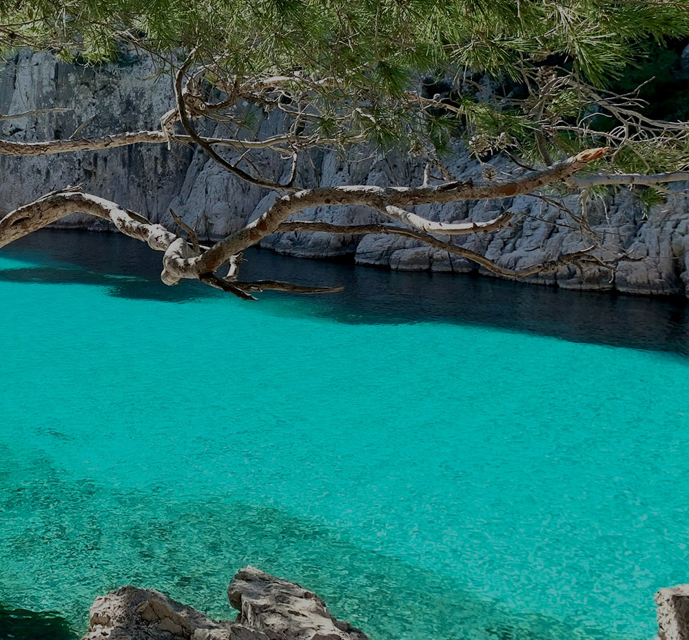 Mediterranea